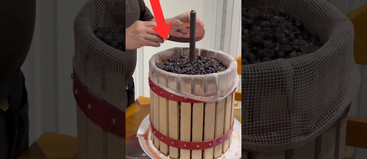 Traditional Red wine making