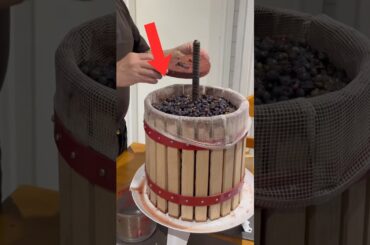 Traditional Red wine making