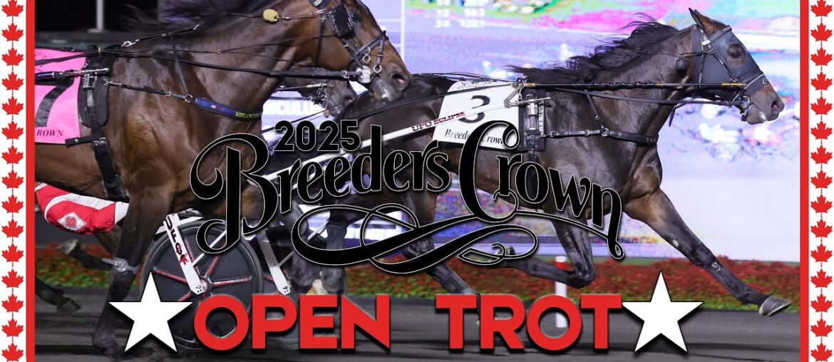 2025 Breeders Crown | French Wine | Open Trot 2025 Breeders Crown | French Wine | Open Trot