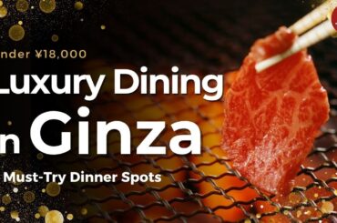 5 Must-Try Dinner Spots in Ginza | Elegant Dining at a Reasonable Price @toko_toko739-jp