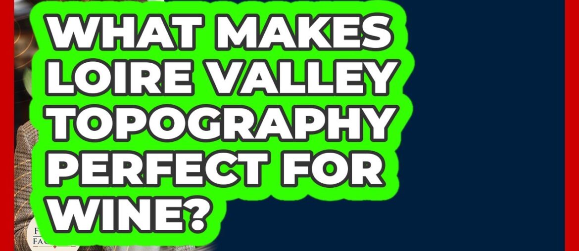 What Makes Loire Valley Topography Perfect For Wine? - France Fact File
