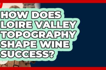How Does Loire Valley Topography Shape Wine Success? - France Fact File