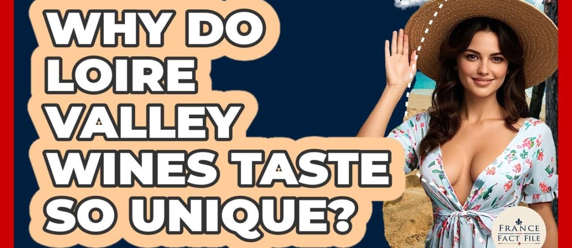 Why Do Loire Valley Wines Taste So Unique? - France Fact File
