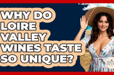 Why Do Loire Valley Wines Taste So Unique? - France Fact File