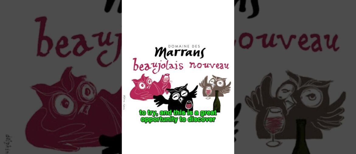 Dont miss the #Nouveau tastings on 11/20! #beaujolais #frenchwine #redwine