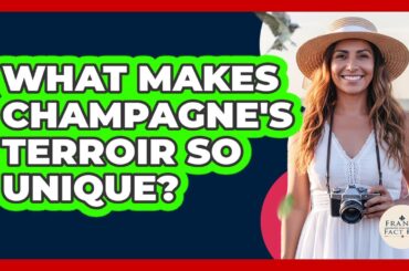 What Makes Champagne's Terroir So Unique? - France Fact File