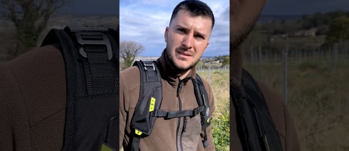 Damian, a French winemaker, prunes his vines with ease using the Skelex Edge #exoskeleton