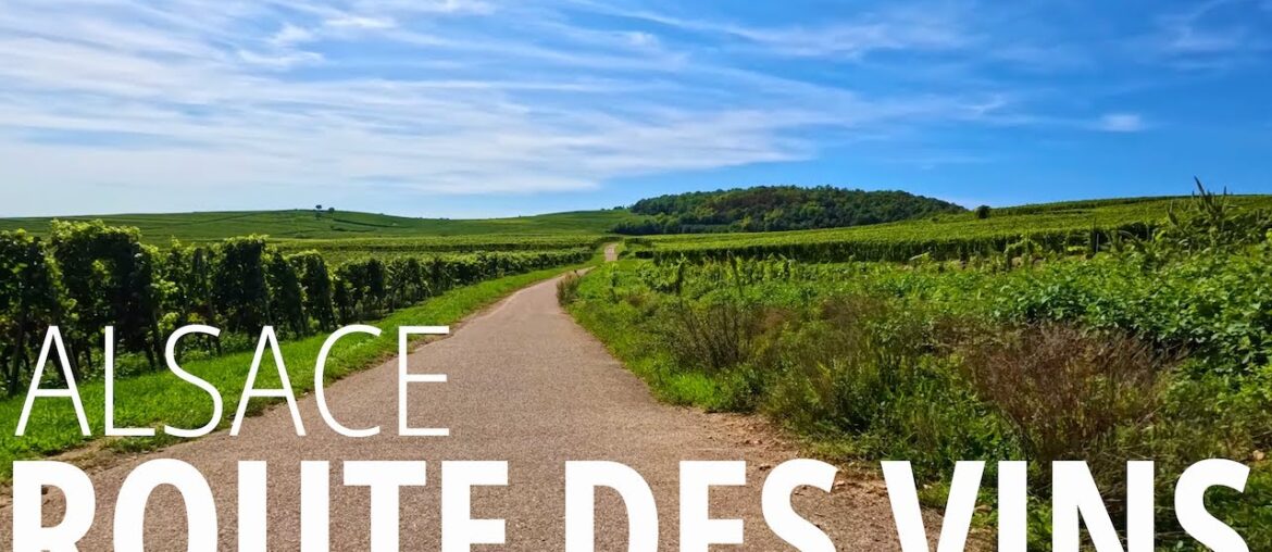 Route des vins d'Alsace - Incredible Cycling Route through the Heart of French Wine Country!