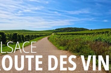 Route des vins d'Alsace - Incredible Cycling Route through the Heart of French Wine Country!