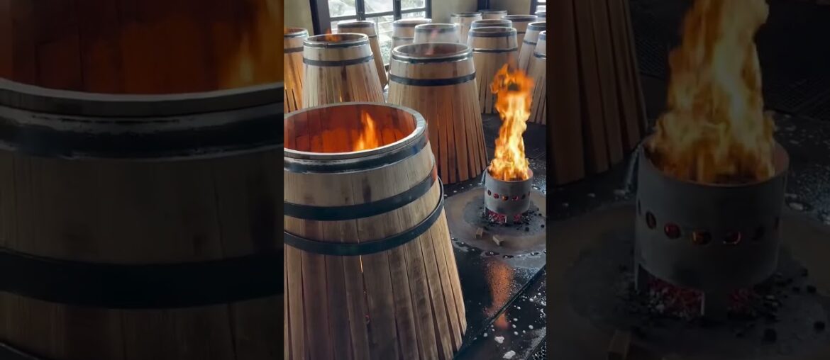 How French Oak Barrels Create the World’s Most Expensive Wine #wine #ytshorts #alcohol #hindifacts