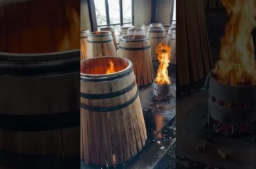 How French Oak Barrels Create the World’s Most Expensive Wine #wine #ytshorts #alcohol #hindifacts