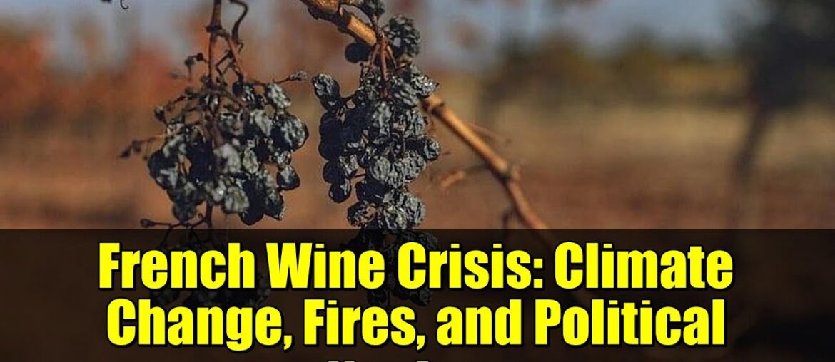 French Wine Crisis: Climate Change, Fires, and Political Neglect