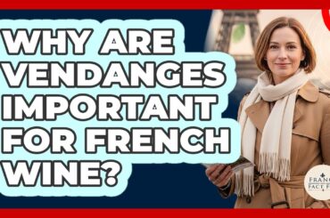 Why Are Vendanges Important For French Wine? - France Fact File
