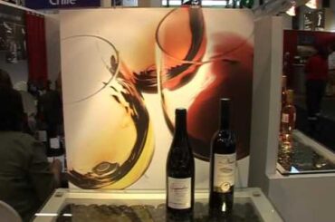 Bordeaux wine fair hopes to beat recession blues