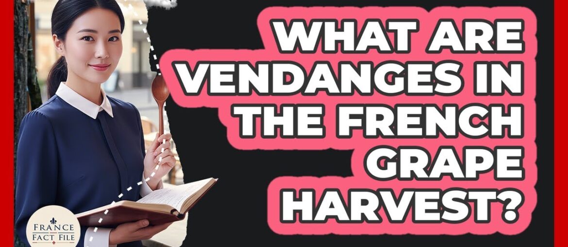 What Are Vendanges In The French Grape Harvest? - France Fact File