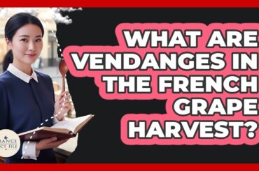 What Are Vendanges In The French Grape Harvest? - France Fact File