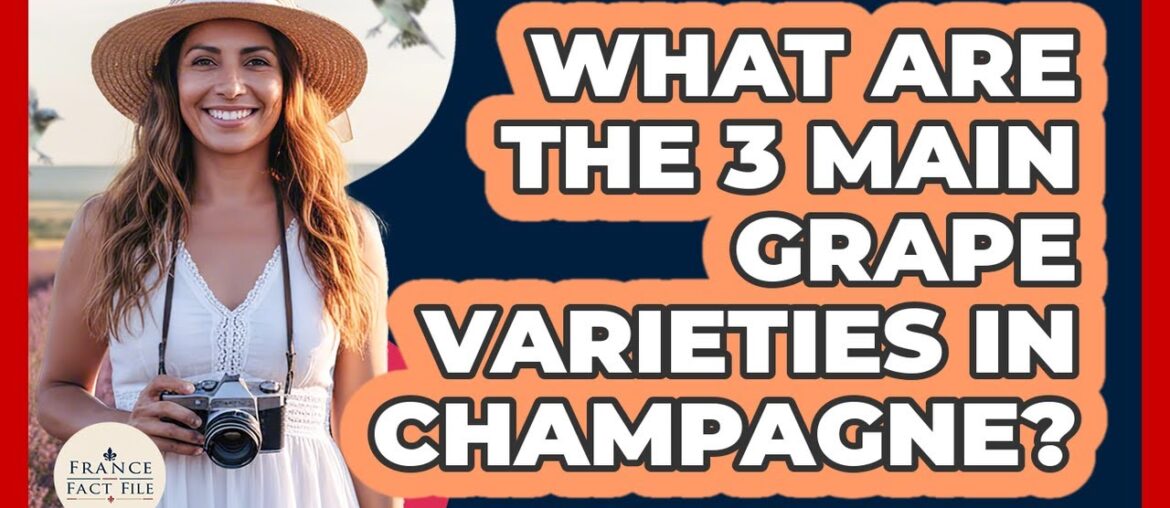What Are The 3 Main Grape Varieties In Champagne? – France Fact File What Are The 3 Main Grape Varieties In Champagne? - France Fact File
