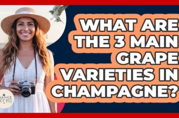 What Are The 3 Main Grape Varieties In Champagne? - France Fact File