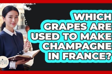 Which Grapes Are Used To Make Champagne In France? - France Fact File