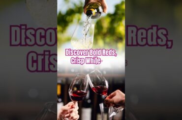 French and Italian Wine Sale | 10 Percent Off at Big Pigs Wine and Spirits Murfreesboro