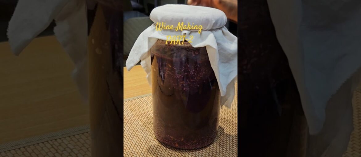 Wine Making | Grape Wine| Part 2 | After 21 days Wine Making | Grape Wine| Part 2 | After 21 days