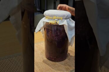 Wine Making | Grape Wine| Part 2 | After 21 days