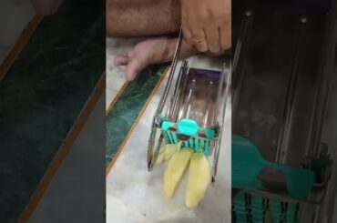 French Fries and chilli potato cutter #shortvideo #viral #shortvideo #shortsfeed #ytshort #foodlover