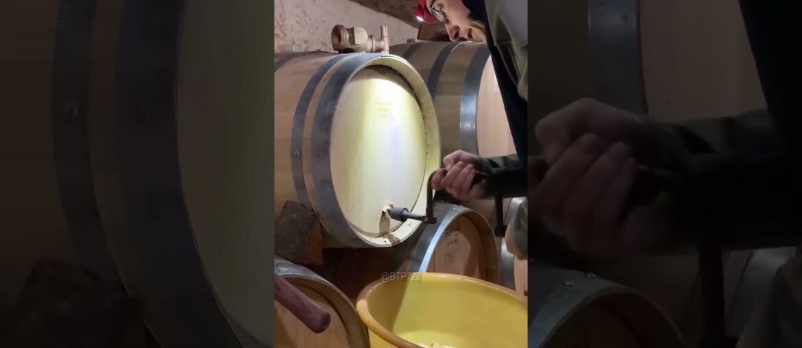 Wine Barrels: The 2,000-Year Accident That Perfected Flavor Wine Barrels: The 2,000-Year Accident That Perfected Flavor