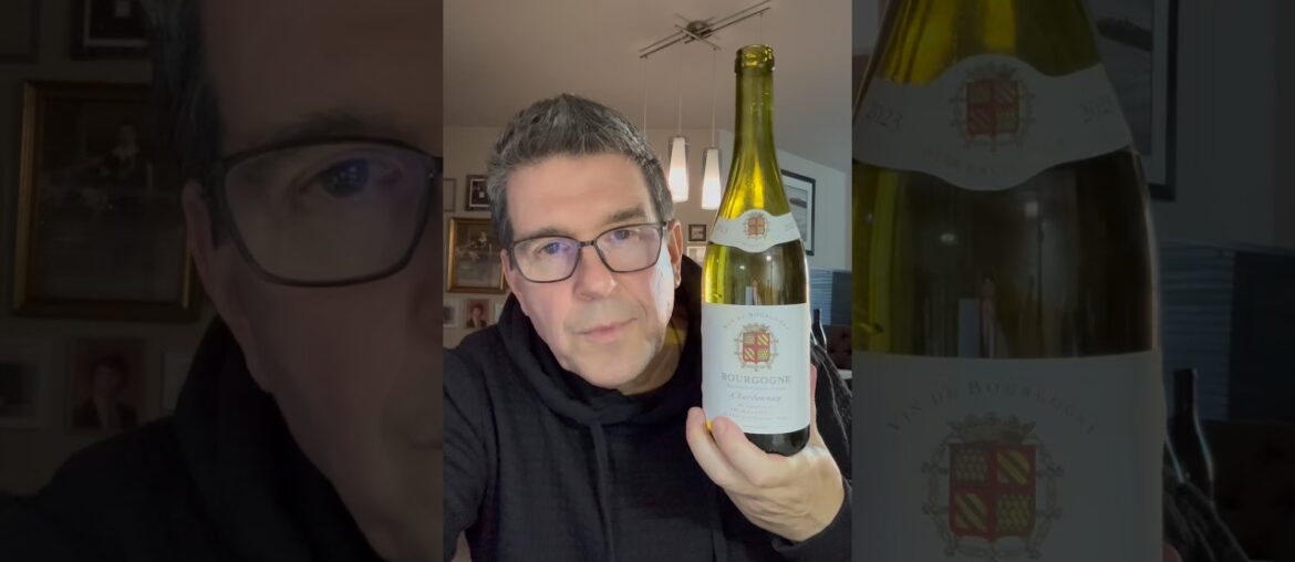 Grocery Outlet Bargain Burgundy Grocery Outlet Bargain Burgundy