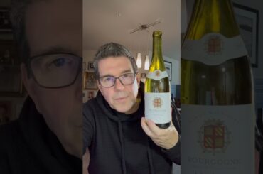 Grocery Outlet Bargain Burgundy