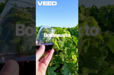 The $100,000 Wine Tasting Experience