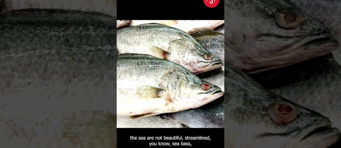 French Cuisine Culture Shock: One Author’s Culinary Adventure