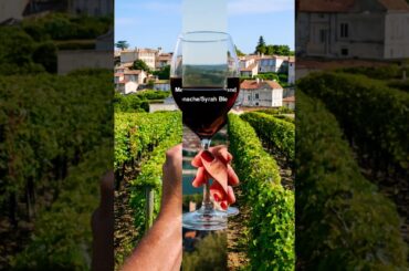 Whispers of Burgundy: The Art of Slow-Braised Beef Cheeks