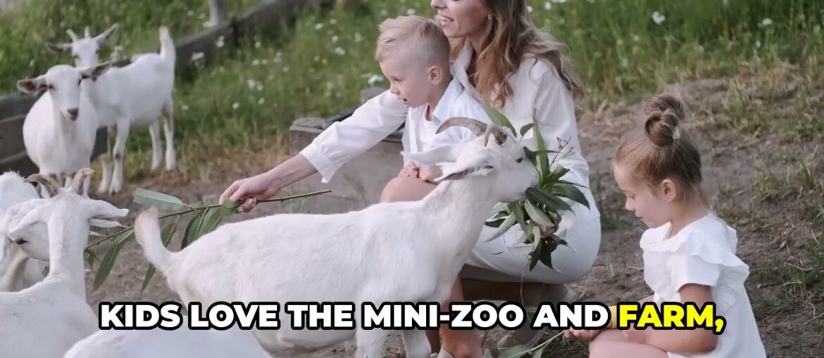 13 BEST Things To Do In Strasbourg Strasbourg France Travel Guide