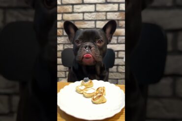 French gourmet #funnydogs #asmr #frenchbulldog #pancake