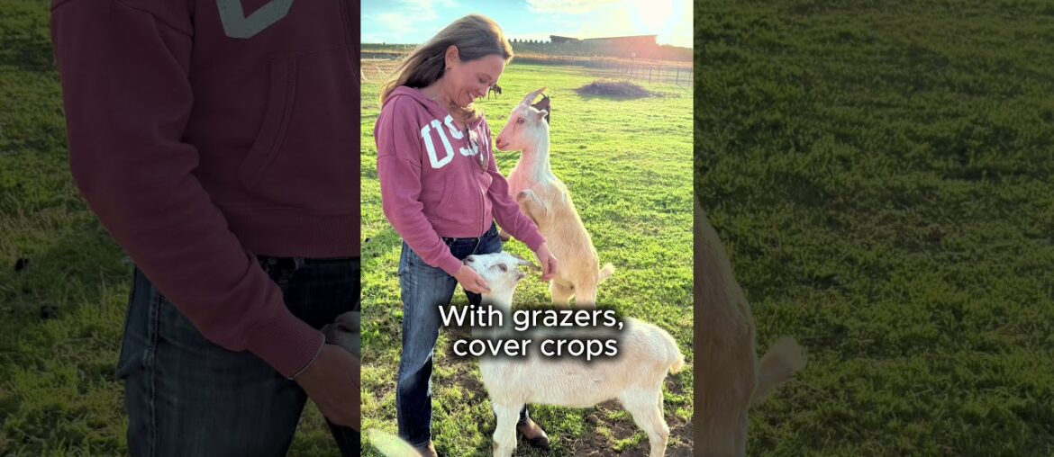 Thanks to the Wineries - The Swirled Cup Docuseries Reveal #wine