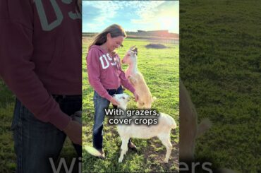 Thanks to the Wineries - The Swirled Cup Docuseries Reveal #wine