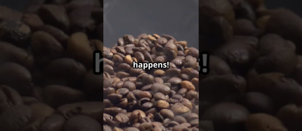 Coffee Chronicles: From Bean to Brew! Coffee Chronicles: From Bean to Brew!