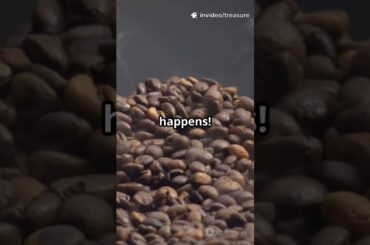 Coffee Chronicles: From Bean to Brew!