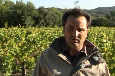 French wine producers feel the pinch