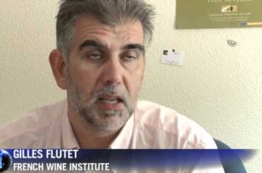 Labour pains: Birth of a French wine terroir