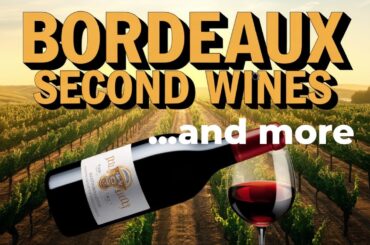 Bordeaux Wine Guide | Must-Know Tips & How to Find the Best Bottles!