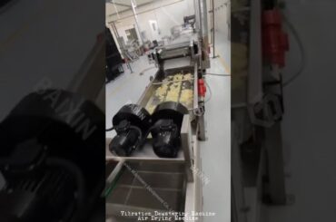 French fries/potato chips production line#French fries/potato chips processing plant #French fries