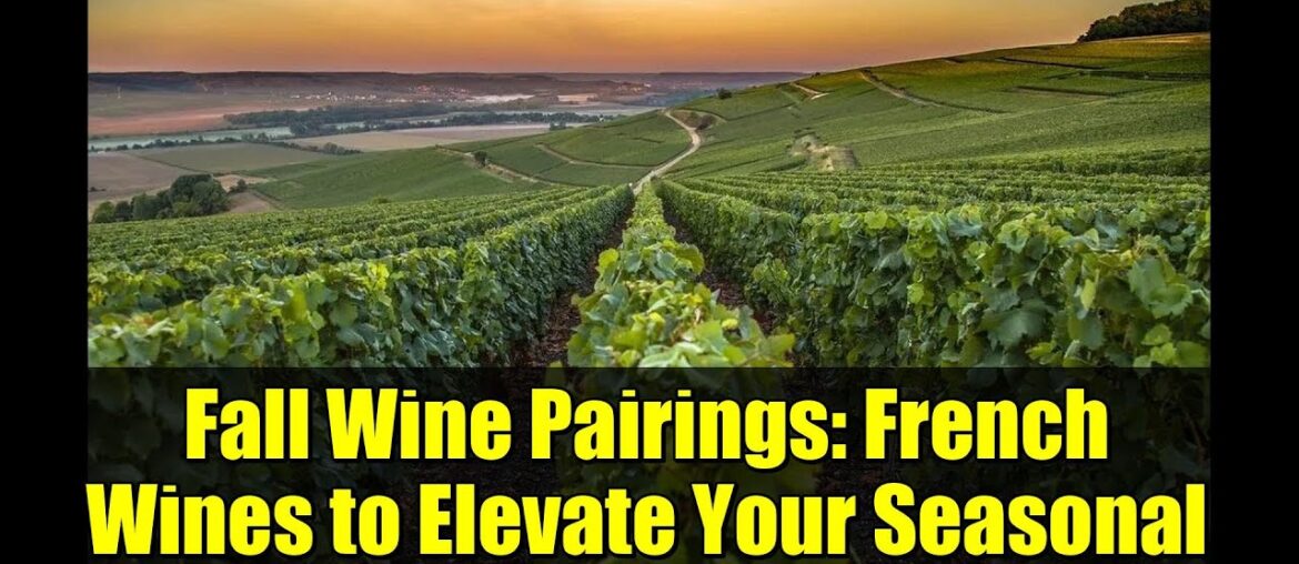 Fall Wine Pairings: French Wines to Elevate Your Seasonal Meals