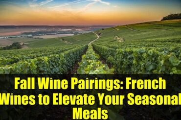 Fall Wine Pairings: French Wines to Elevate Your Seasonal Meals