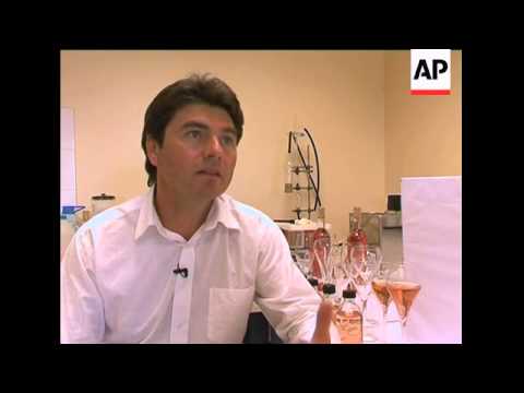 French wine makers angry about proposed rose laws French wine makers angry about proposed rose laws