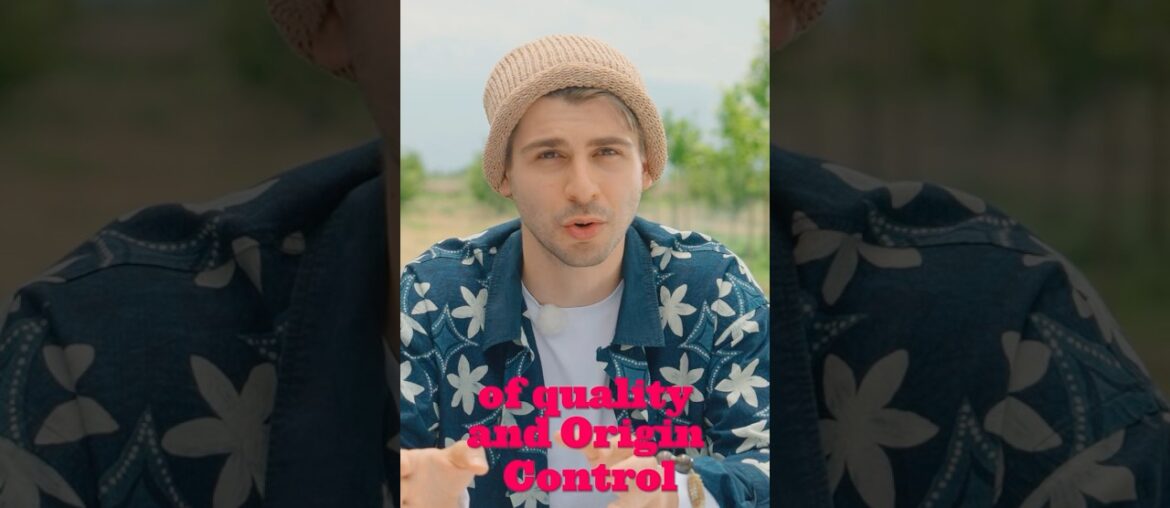 French system of quality #wine #winelovers #winelover #history #france #interestingfact #europe