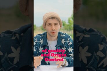 French system of quality #wine #winelovers #winelover #history #france #interestingfact #europe