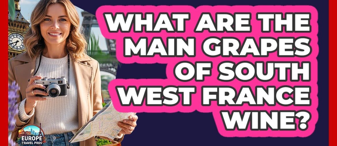 What Are The Main Grapes Of South West France Wine?