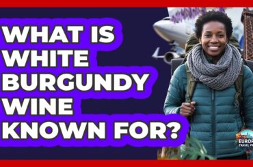 What Is White Burgundy Wine Known For?